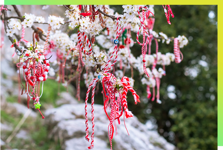 springtime traditions around the world - Bulgarian Martenitsa bracelets hanging on the branch of spring blossom tree - world languages classroom activity