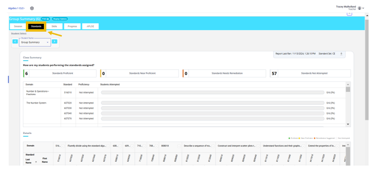 Standards Report